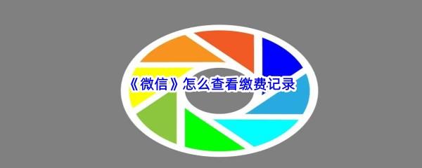 微信怎么查看缴费记录-微信查看缴费记录的流程一览