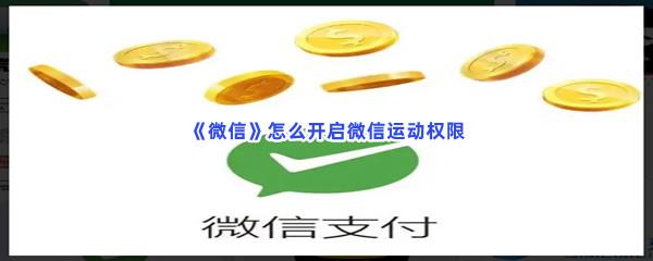 微信怎么开启微信运动权限-微信运动权限的开启步骤一览